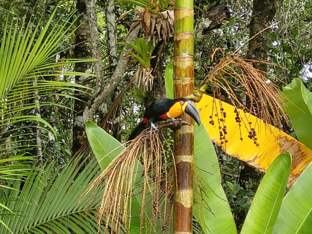 Casa Em Bertioga - Guaratuba Villa Kültér fotó